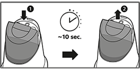 instrucci&oacute;n